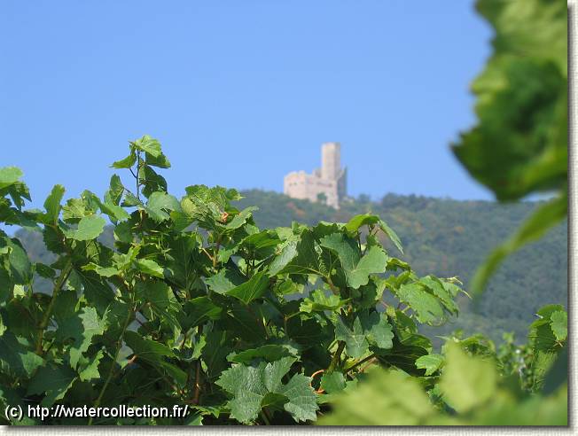 Diapositive suivante